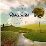 owlcity