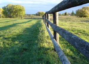 buchinger_fence_5x7