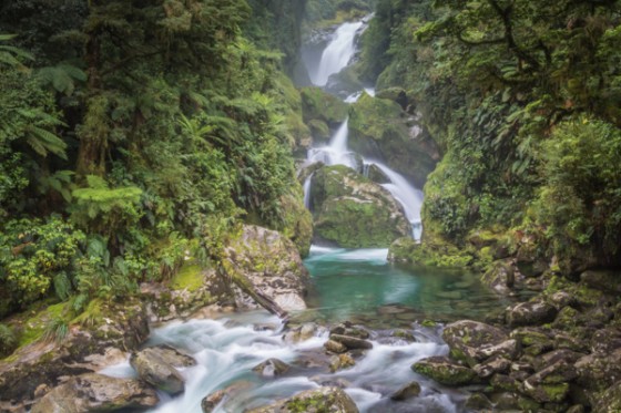 Living Water in the Kingdom of God - from the Milford Track
